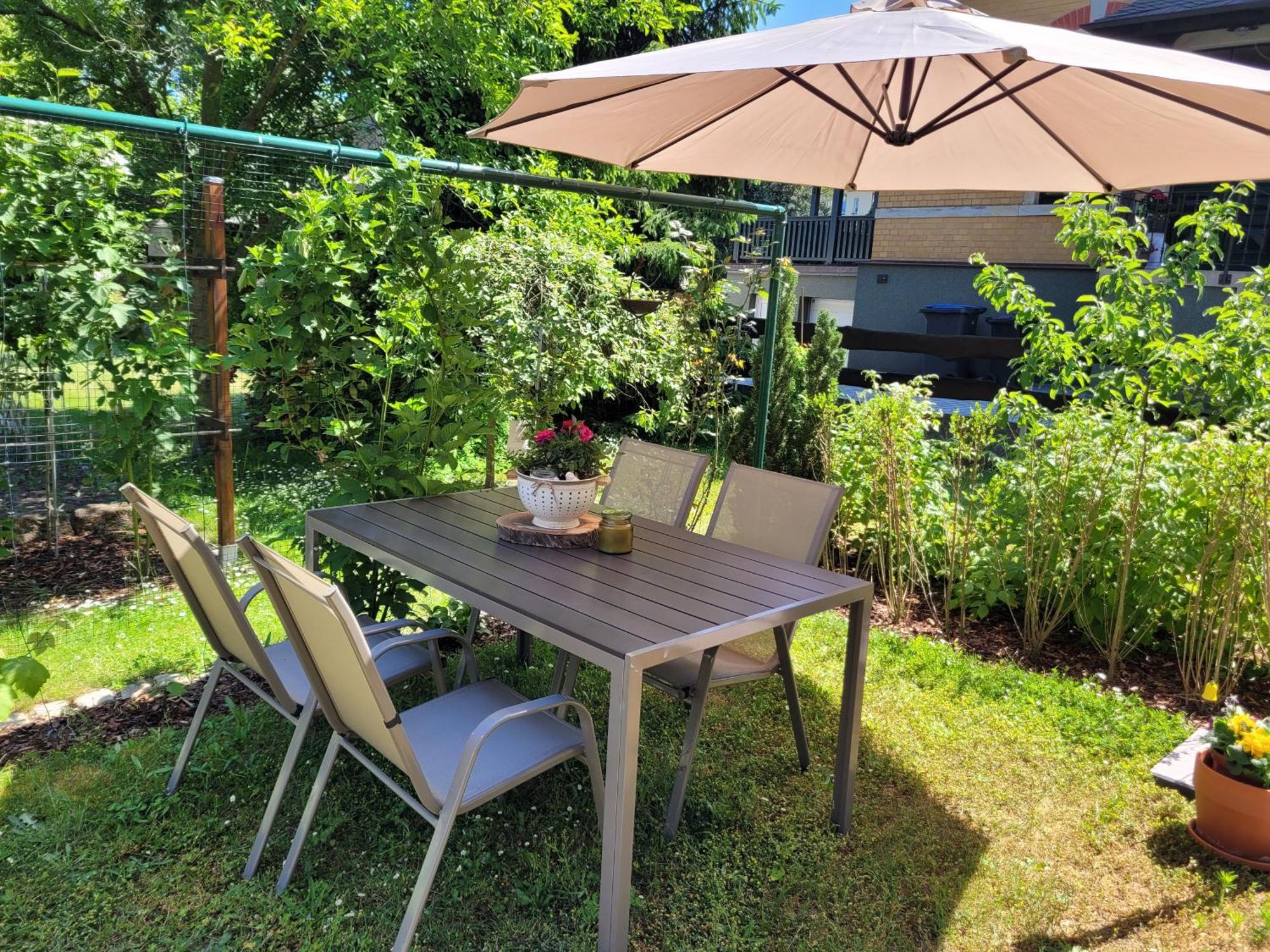 Zum Eulennest Apartment เดรสเดน ภายนอก รูปภาพ